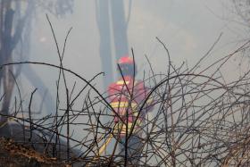 INCÊNDIOS: PLANO DISTRITAL DE EMERGÊNCIA DE PROTEÇÃO CIVIL DE COIMBRA DESATIVADO
