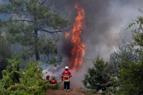 CERCA DE 200 OPERACIONAIS MOBILIZADOS PARA FOGO EM SABROSA, VILA REAL