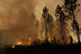 DOIS INCÊNDIOS EM SOURE, COIMBRA, COMBATIDOS ÀS 17:45 POR MAIS DE 200 BOMBEIROS