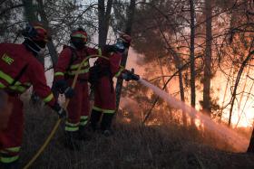 INCÊNDIOS: CHAMAS DOMINADAS EM MACEDO DE CAVALEIROS