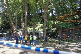 SETE PESSOAS CONTINUAM INTERNADAS APÓS QUEDA DE ÁRVORE NA MADEIRA