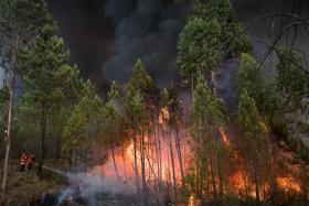 REATIVAÇÃO DO INCÊNDIO DE GAVIÃO OBRIGA À RETIRADA DE PESSOAS DE ALDEIAS