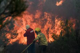 ALDEIA DE ORTIGA É “A GRANDE PREOCUPAÇÃO” NO CONCELHO DE MAÇÃO DEVIDO A UM INCÊNDIO