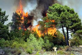 ATIVADO PLANO DISTRITAL DE EMERGÊNCIA DE VISEU POR INCÊNDIOS EM RESENDE