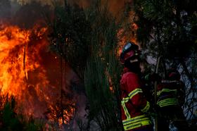 INCÊNDIOS: DOMINADO FOGO EM CELORICO DA BEIRA