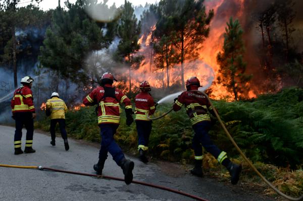 INCÊNDIOS: NÚMERO DE DETIDOS QUASE DUPLICOU FACE A 2016