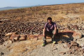 PALEONTÓLOGOS LUSO-MOÇAMBICANOS DESCOBREM MAIOR FLORESTA FOSSILIZADA DE ÁFRICA