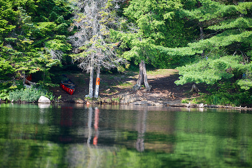 AFOGAMENTO EM LAGO DO ALONGQUIN PARK