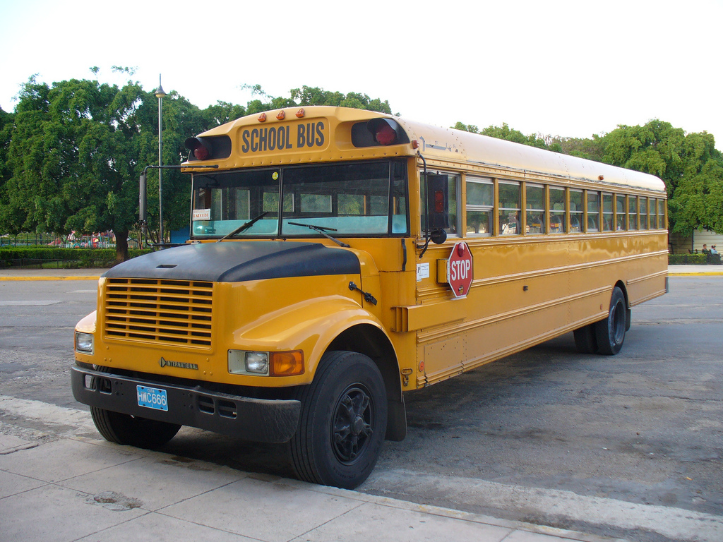 Bus