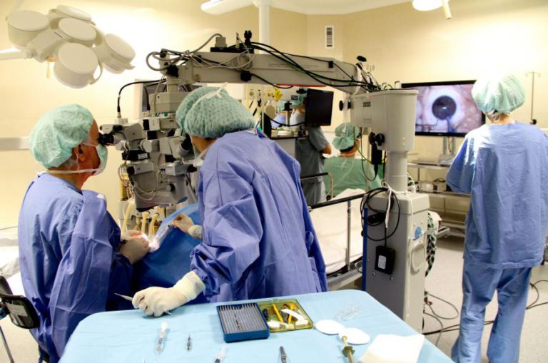 INVESTIGADORES PORTUGUESES DESCOBREM MECANISMO CELULAR NA ORIGEM DE DOENÇAS MUSCULARES