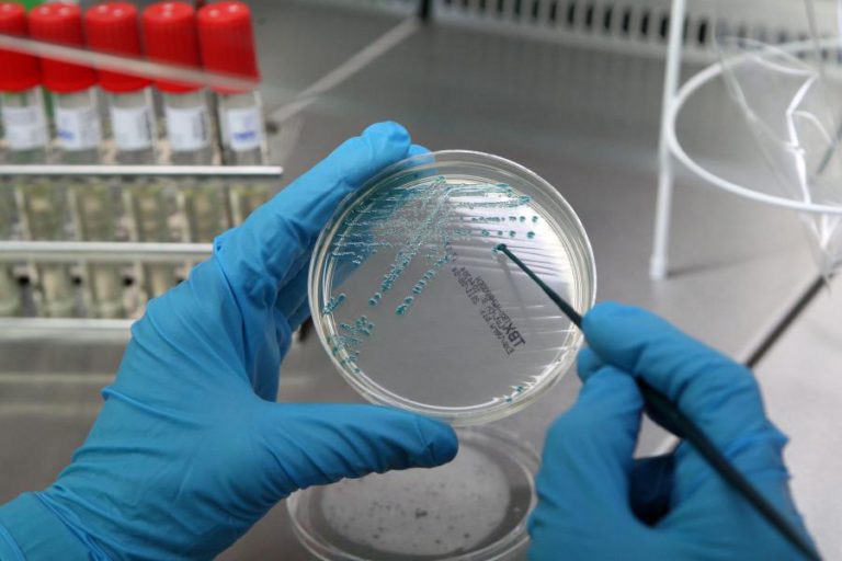 FUNDAÇÃO CHAMPALIMAUD JUNTA-SE A 20 LABORATÓRIOS DE NEUROCIÊNCIAS PARA ESTUDAR CÉREBRO