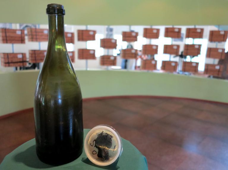 AUTORIDADE TRIBUTÁRIA MOÇAMBICANA FISCALIZA SELO FISCAL EM MILHARES DE BEBIDAS ALCOÓLICAS