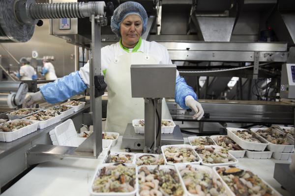 EXPORTAÇÕES DE ALIMENTOS CONGELADOS MANTÊM CRESCIMENTO EM 2016 – ESTUDO