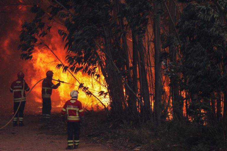 INCÊNDIO CORTA IC8 NA SERTÃ