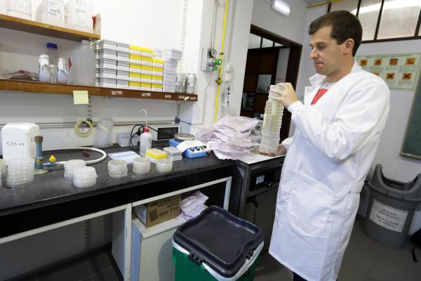 CIENTISTAS TESTAM RESPOSTA AO CANCRO COM ARTE, MÚSICA E GASTRONOMIA
