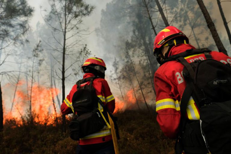 INCÊNDIO EM EUCALIPTAL E MATO NAS CALDAS DA RAINHA COMBATIDO POR 123 OPERACIONAIS