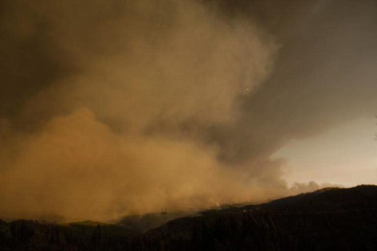 INCÊNDIOS:150 BOMBEIROS E 4 MEIOS AÉREOS COMBATEM FOGO EM ZONA DE PINHAL EM FARO