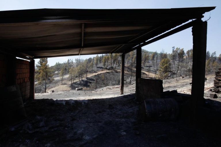 DISPERSÃO DE MEIOS E TEMPO “EXTREMAMENTE AGRESSIVO” DIFICULTARAM COMBATE AO INCÊNDIO EM MAÇÃO — PROTEÇÃO CIVIL