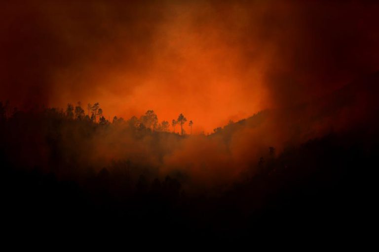QUASE 210 MIL HECTARES ARDIDOS, 2017 FOI O PIOR ANO DA ÚLTIMA DÉCADA