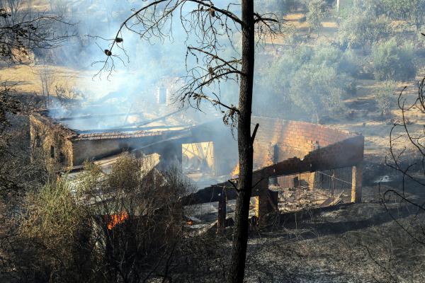 INCÊNDIOS: AUTARCA DE CASTANHEIRA DE PERA DEFENDE QUE SEJAM OS MUNICÍPIOS A COORDENAR ENTREGA DE APOIOS