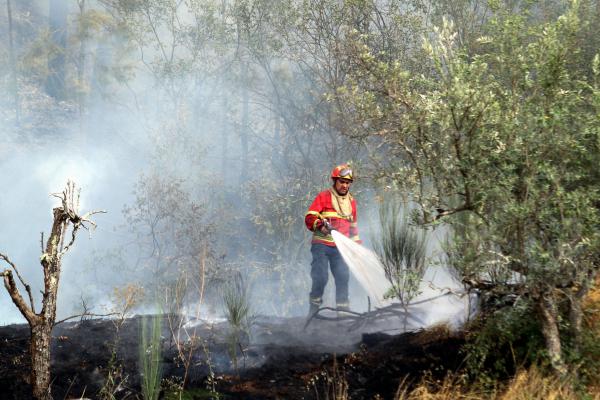 AUTORIDADES DETIVERAM 128 PESSOAS ESTE ANO PELO CRIME DE INCÊNDIO