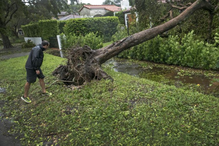 FURACÃO IRMA: AUTORIDADES BAIXAM CLASSIFICAÇÃO PARA ‘TEMPESTADE TROPICAL’