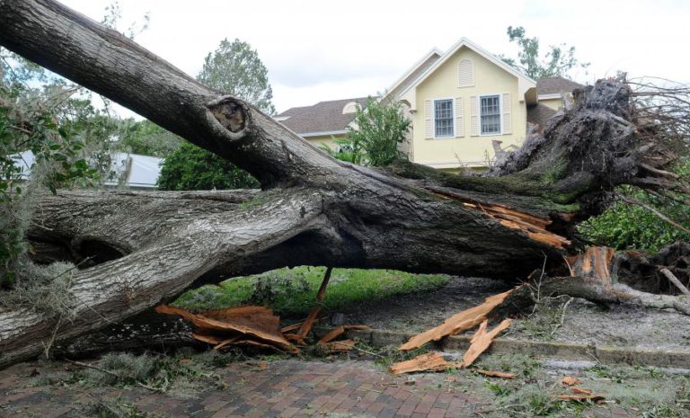 PELO MENOS DOIS MORTOS NA GEORGIA DEVIDO A TEMPESTADE TROPICAL IRMA