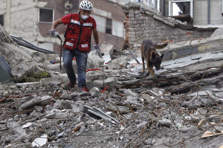AUTORIDADES ELEVAM O NÚMERO DE MORTOS PARA 273 E 100 DESAPARECIDOS NO SISMO DO MÉXICO