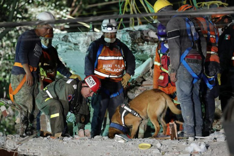MÉXICO/ SISMO: UNICEF PEDE PROTEÇÃO PARA CINCO MILHÕES DE CRIANÇAS EM ZONAS AFETADAS