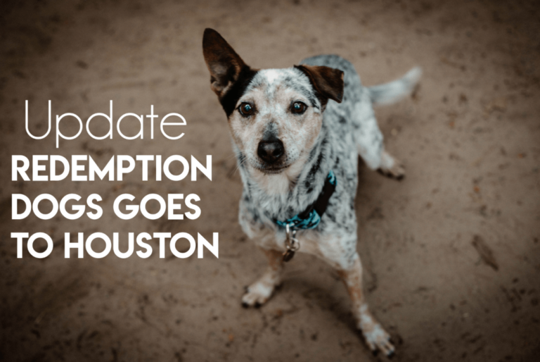 Foto: Redemption Dogs
