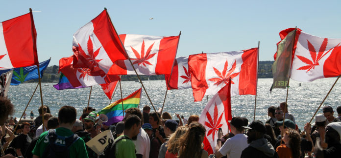 marijuana Foto: FLICKR