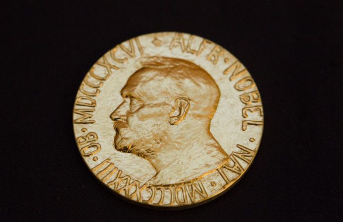 11871913.jpg