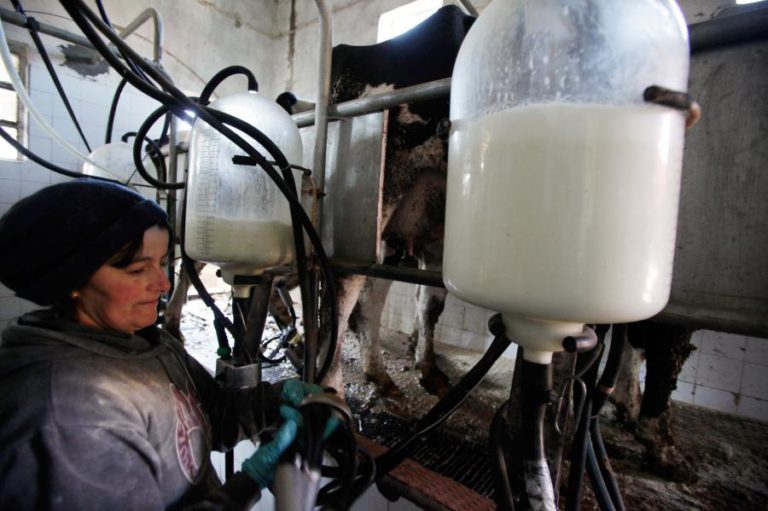 CONSUMO DE LEITE EM PORTUGAL TEVE QUEBRA DE 17% DESDE 2016 — PRODUTORES