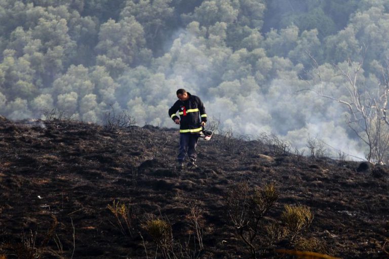 “UMA IMAGEM SOLIDÁRIA” NO PORTO JUNTOU 3.531 EUROS, A ENTREGAR QUARTA-FEIRA AOS BOMBEIROS