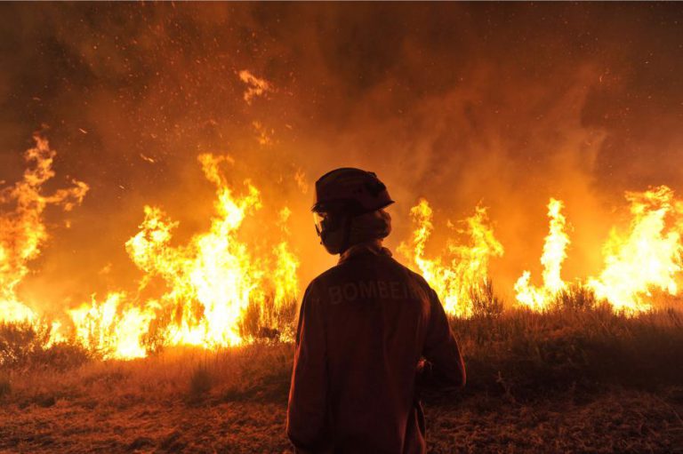 FOGOS ATINGIRAM 59 MUNICÍPIOS DO CENTRO E DESTRUÍRAM 38 EMPREENDIMENTOS TURÍSTICOS