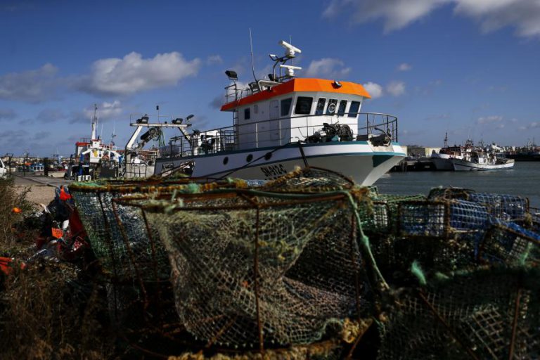 PLATAFORMA DE ONG DISCORDA DOS LIMITES ACORDADOS PARA CAPTURA DE SARDINHA