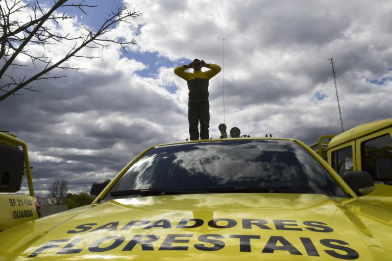 INCÊNDIOS: PORTUGAL GASTOU 6.585 ME NOS ÚLTIMOS 16 ANOS, 410 ME EM PREVENÇÃO