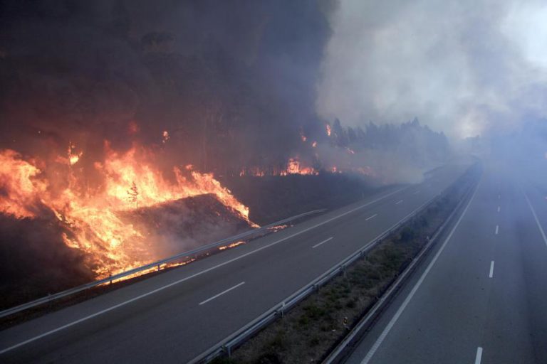 MAIS DE 20 ESTRADAS CORTADAS, ENTRE A QUAIS AS A1, A11 E A25
