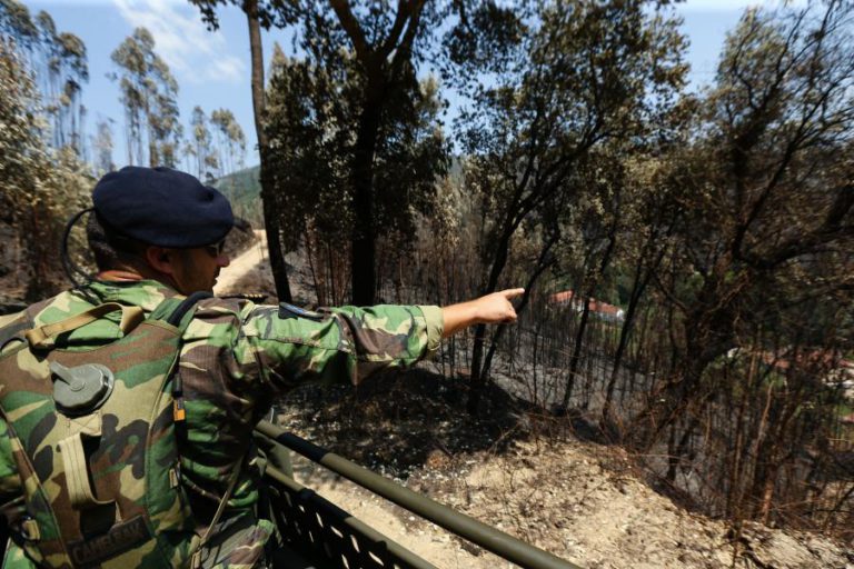 FUZILEIROS PATRULHAM FLORESTAS PARA PREVENÇÃO DE INCÊNDIOS
