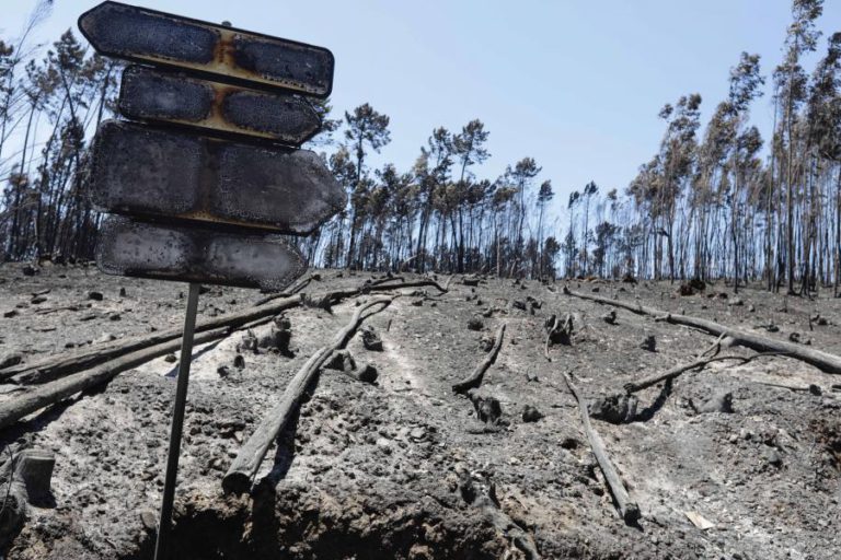 INCÊNDIO EM PEDRÓGÃO GRANDE FOI CAUSADO POR CONTACTOS ENTRE VEGETAÇÃO E LINHA DA EDP