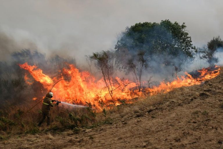 SEIA FALA NA MAIOR “TRAGÉDIA DE SEMPRE NO CONCELHO”