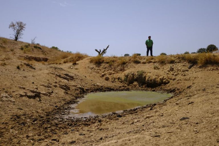 SECA: AGRICULTORES DO ALTO ALENTEJO VIVEM SITUAÇÃO “DRAMÁTICA” – ASSOCIAÇÃO