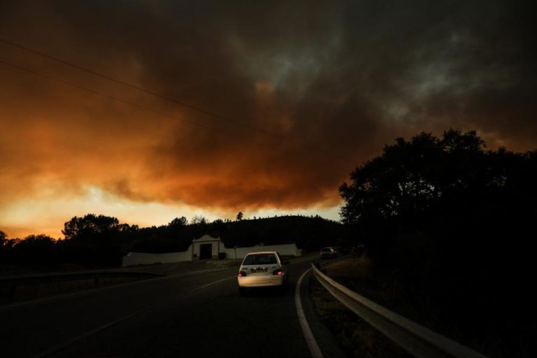 NÚMERO DE MORTES RESULTANTES DE INCÊNDIOS DE DOMINGO SOBE PARA 44