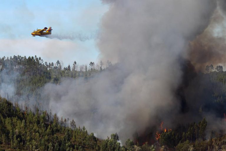 NÚMERO DE MORTOS NOS INCÊNDIOS DE DOMINGO SOBE PARA 43