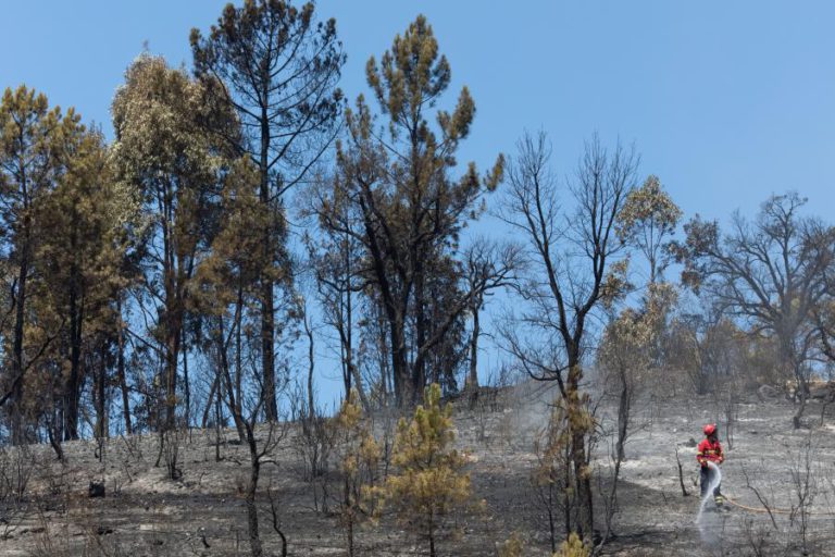 FOGO EM OURÉM CONSUMIU 1.237 HECTARES DE FLORESTA