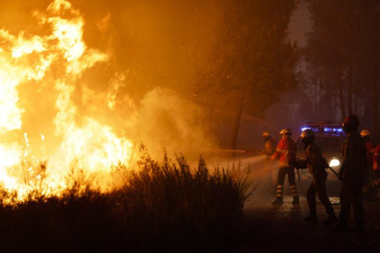 INCÊNDIOS: CHAMAS DESTRUÍRAM MAIS DE 20.000 HECTARES DE ÁREAS PROTEGIDAS