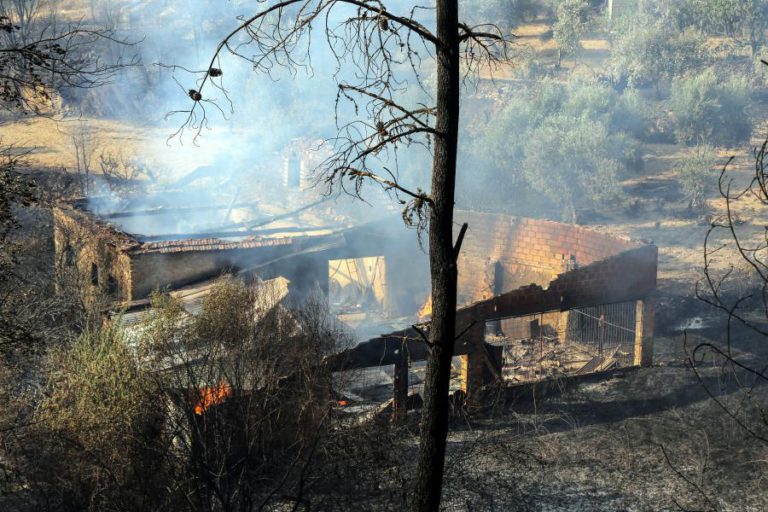 INCÊNDIOS: RELATÓRIO DESTACA INCUMPRIMENTO DA LEI EM REDOR DE POVOAÇÕES, CASAS E ESTRADAS