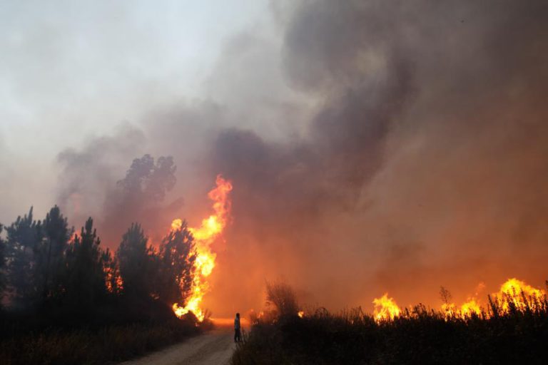 INCÊNDIOS EM CASTRO DAIRE E S. PEDRO DO SUL JÁ FORAM DOMINADOS