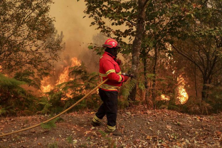 INCÊNDIOS: FOGO EM OLIVEIRA DE FRADES, VISEU, EM FASE DE CONCLUSÃO