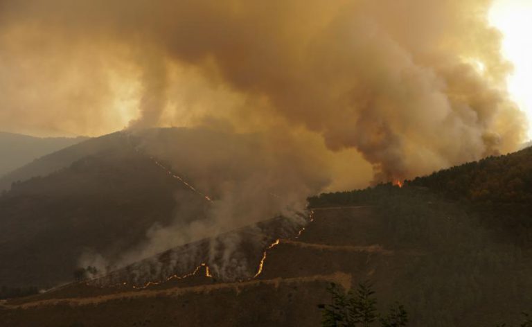 CHAMAS QUEIMARAM ESTE ANO MAIS DE 316.000 HECTARES EM PORTUGAL – COMISSÃO EUROPEIA